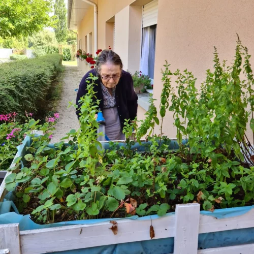 Animation jardin ehpad les tilleuls